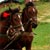 Fotografia: "2 cai putere" - Setul: "Pasul peste munti", din Predeal, Romania / Roumanie, cu aparat Fujifilm FinePix S3000, data 2004-09-05 KERUCOV .ro © 1997 - 2008 || Andrei Vocurek