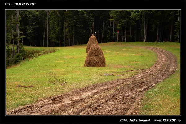 Fotografia: "Mai departe" - Setul: "Pasul peste munti", din Predeal, Romania / Roumanie, cu aparat Fujifilm FinePix S3000, data 2004-09-05 KERUCOV .ro © 1997 - 2008 || Andrei Vocurek