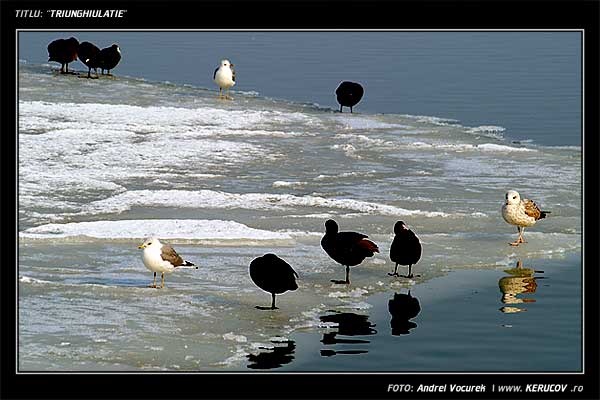 Fotografia: "Triunghiulatie" - Setul: "Iarna la Marea Neagra", din Constanta, Romania / Roumanie, cu aparat Konica Minolta Dynax 5D, data 2006-02-11 KERUCOV .ro © 1997 - 2008 || Andrei Vocurek
