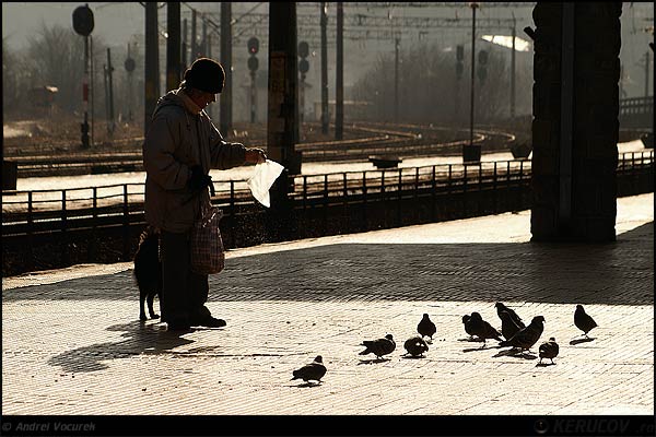 Fotografia: "Pentru porumbei" - Setul: "Printre oameni ca noi", din Sinaia, Romania / Roumanie, cu aparat Konica Minolta Dynax 5D, data 2006-01-30 KERUCOV .ro © 1997 - 2008 || Andrei Vocurek