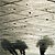 Fotografia: "Umbre din prezent" - Setul: "Plimbari si vederi din Viena", din Viena / Vienna / Wien, Austria / Osterreich, cu aparat Konica Minolta Dynax 5D, data 2007-10-31 KERUCOV .ro © 1997 - 2008 || Andrei Vocurek
