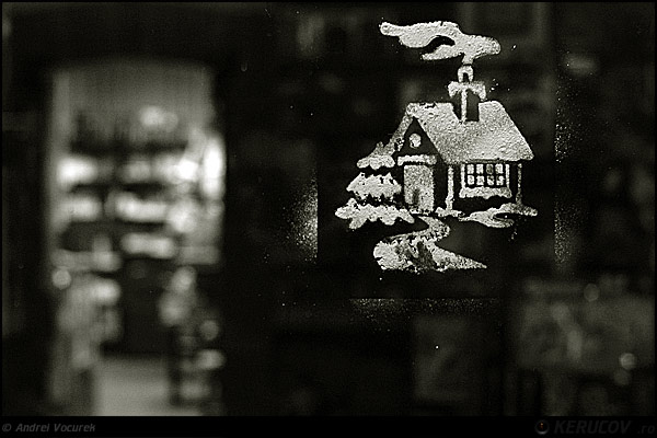Fotografia: "Poveste de iarna" - Setul: "Orasul oarecare - Puncte peste asfalt", din Bucuresti / Bucharest, Romania / Roumanie, cu aparat Konica Minolta Dynax 5D, data 2007-01-07 KERUCOV .ro © 1997 - 2008 || Andrei Vocurek